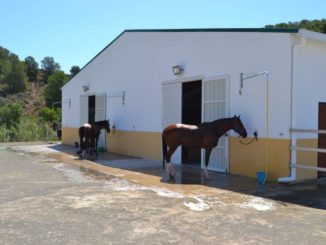 escuela de equitacion Hipica La Calderona