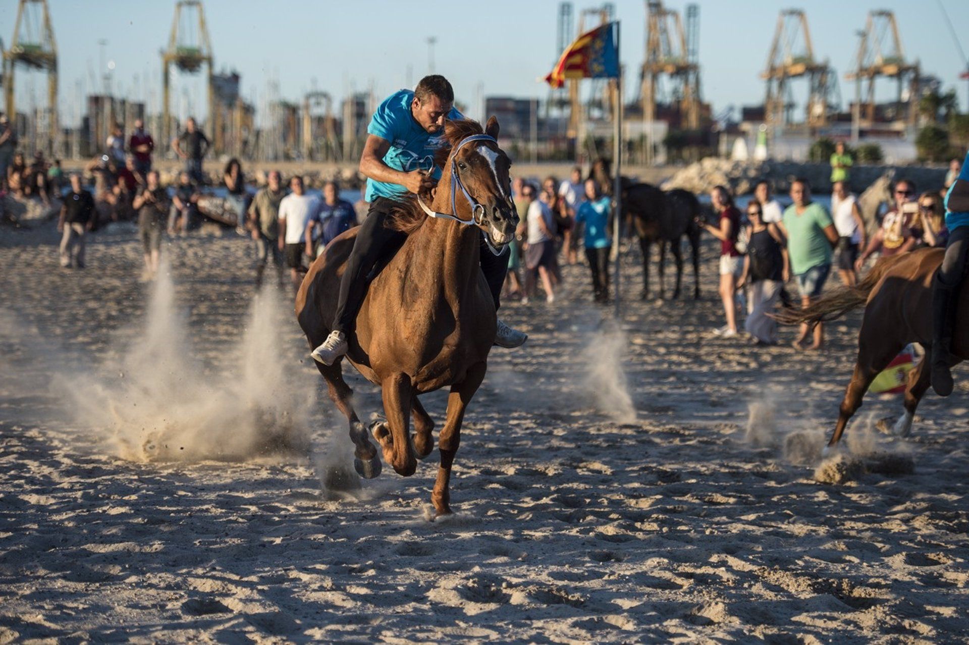 Equitación en Valencia