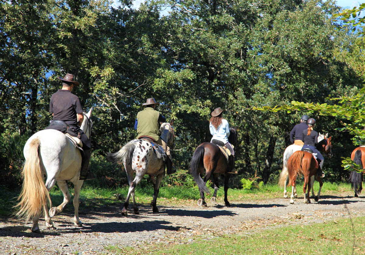 Rutas a caballo en Valencia