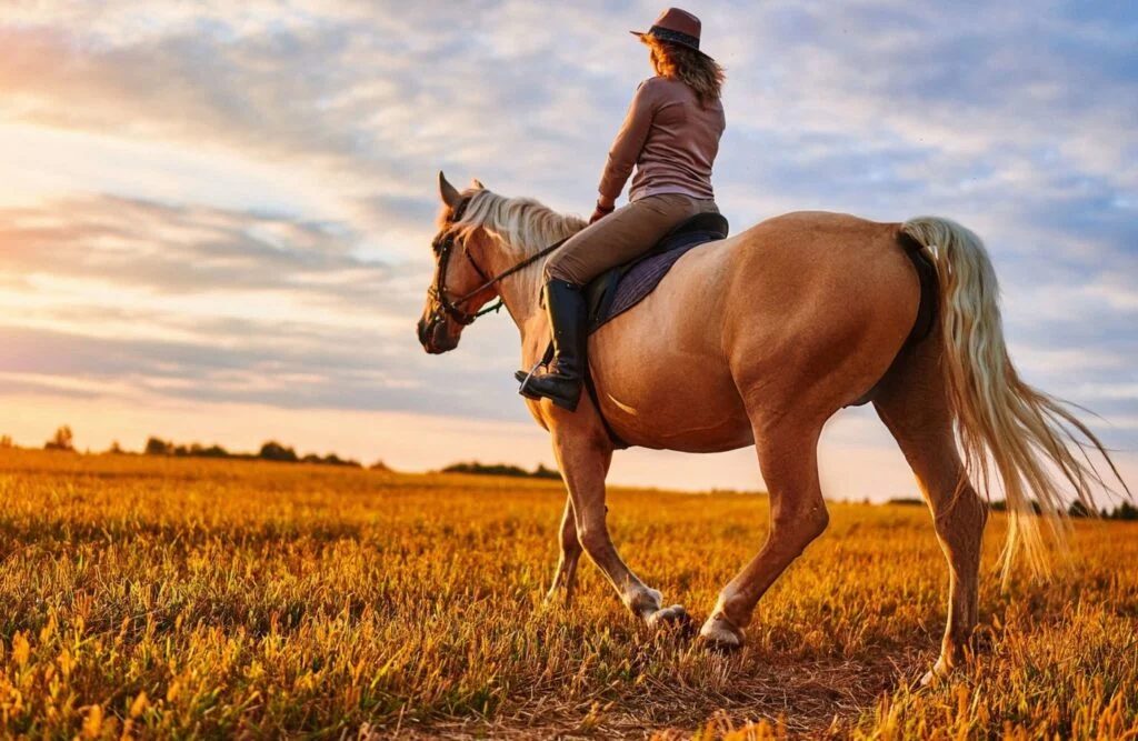 Rutas a caballo en Valencia