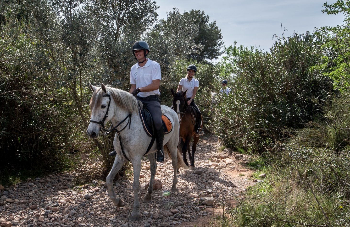 Rutas a caballo en Valencia