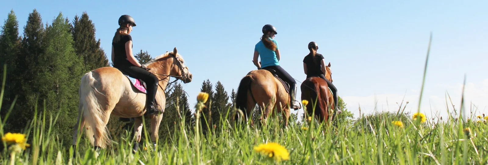 Montar a caballo en Valencia