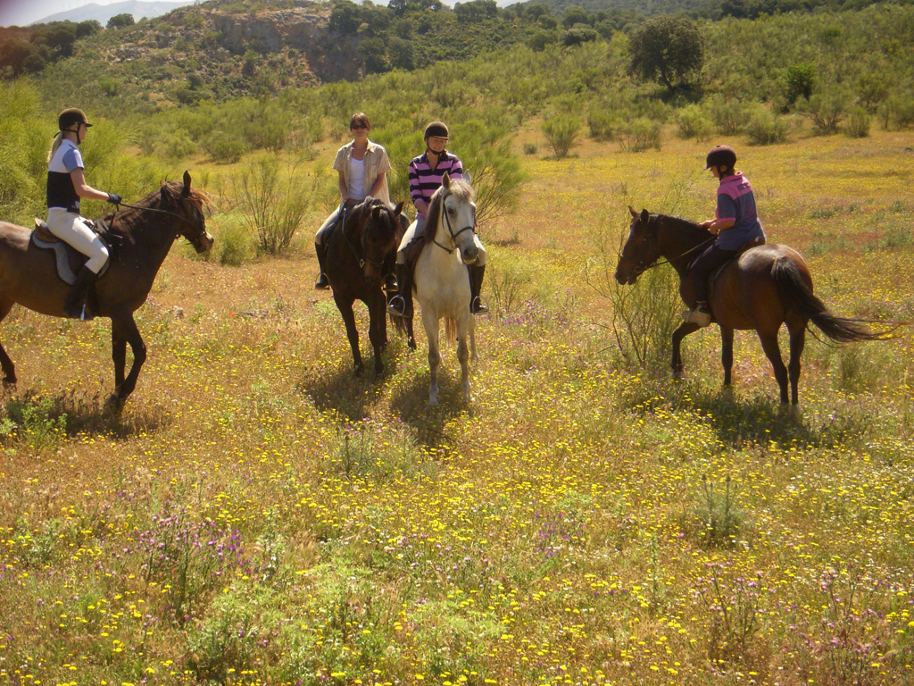 Paseos a caballo en Valencia