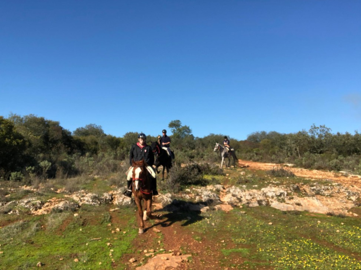 Paseos a caballo en Valencia