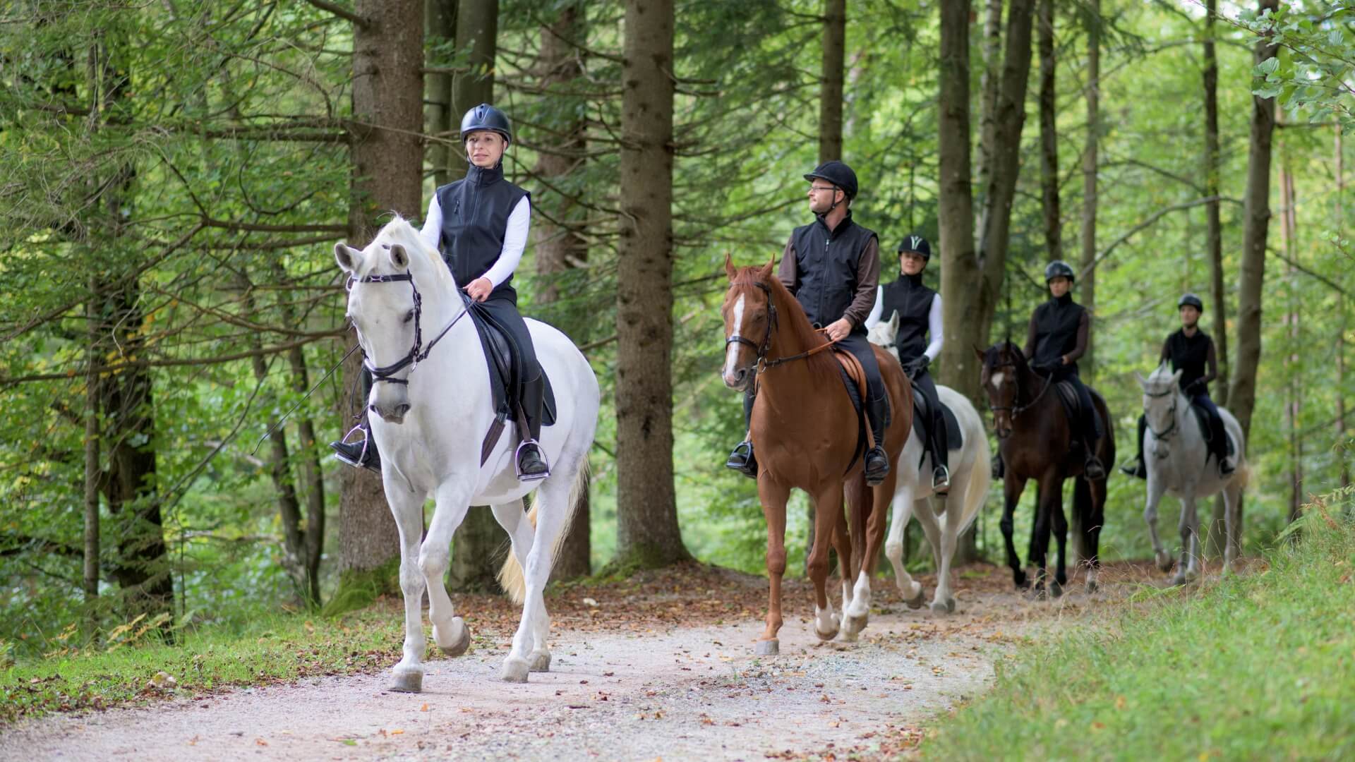 Paseos a caballo en Valencia