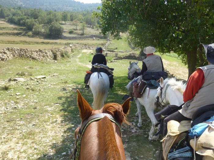 rutas a caballo en Valencia