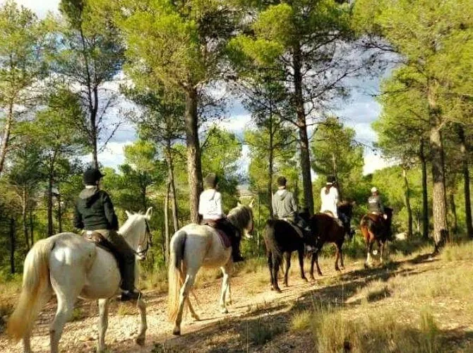 rutas a caballo en Valencia
