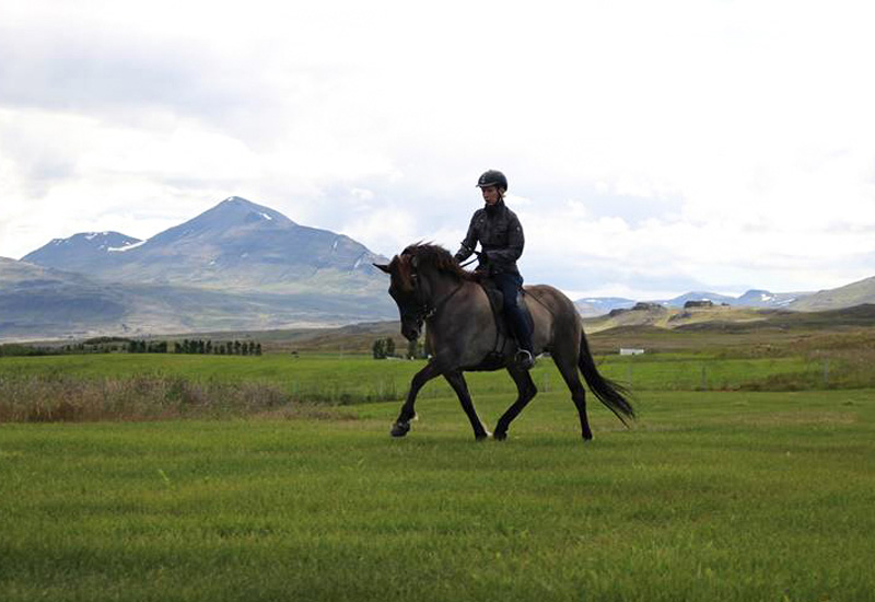 miedo a montar caballo hipica la calderona