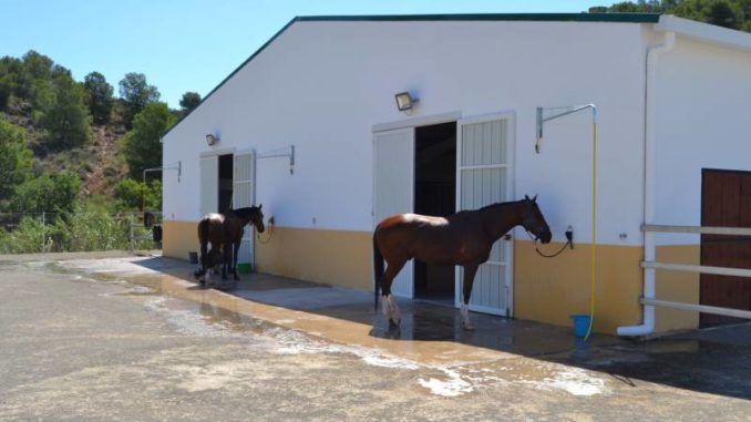 escuela de equitacion Hipica La Calderona
